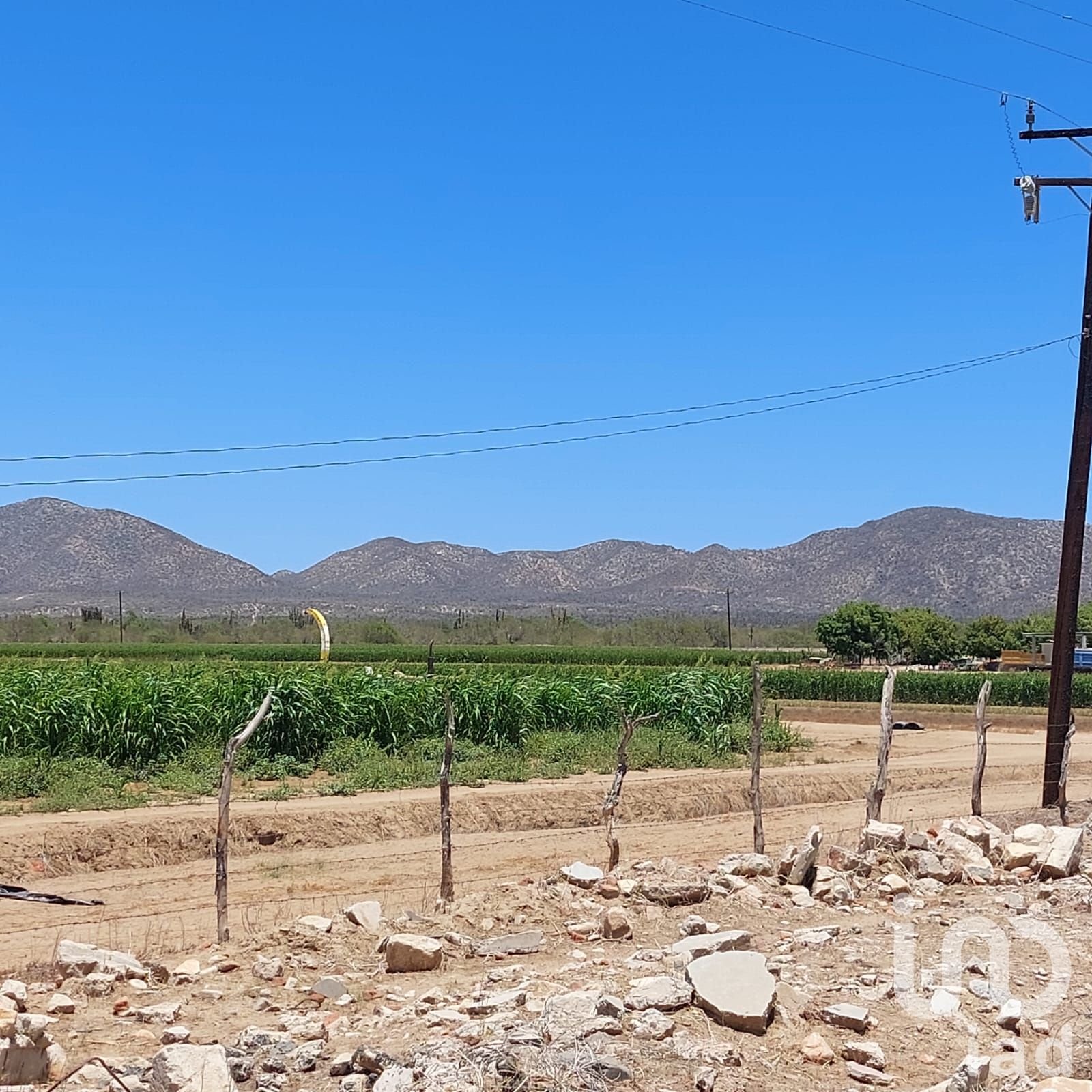 Terreno Agricola excelente para negocio o huerto familiar en Los planes BCS