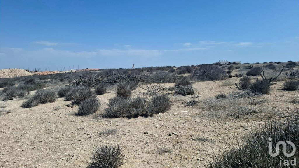 TERRENO EN VENTA  USO HABITACIONAL EN LA AGUJA CONQUISTA AGRARIA LA PAZ BAJA CALIFORNIA SUR