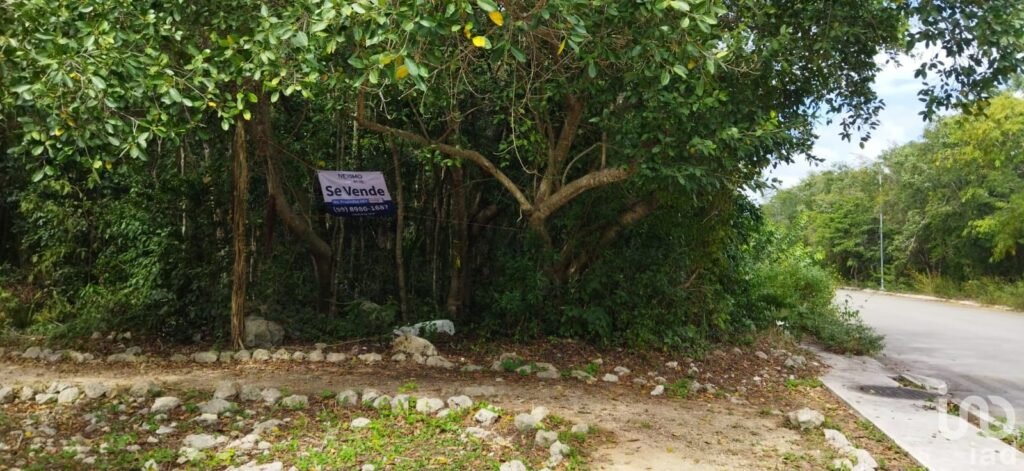 EN VENTA TERRENO EN VELA MAR PLAYA DEL CARMEN, QUINTANA ROO