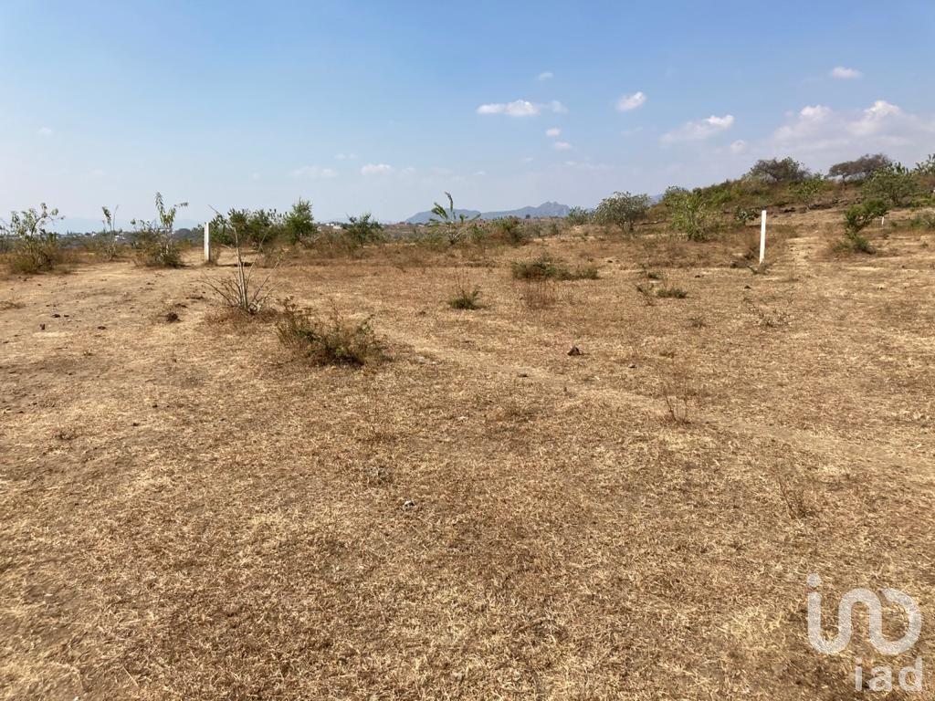 Terreno en venta en Atlatlahucan Terreno en venta en Atlatlahucan