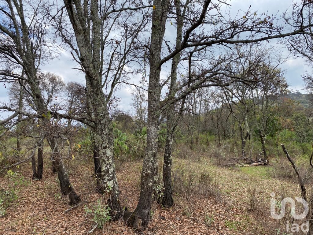 SE VENDE TERRENO PARA INVERSION EXELENTE PARA RESTAURANTE O CABAÑAS JESUS DEL MONTE MORELIA