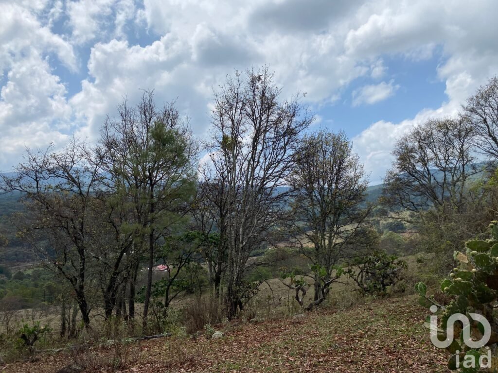 SE VENDE TERRENO PARA INVERSION EXELENTE PARA RESTAURANTE O CABAÑAS JESUS DEL MONTE MORELIA