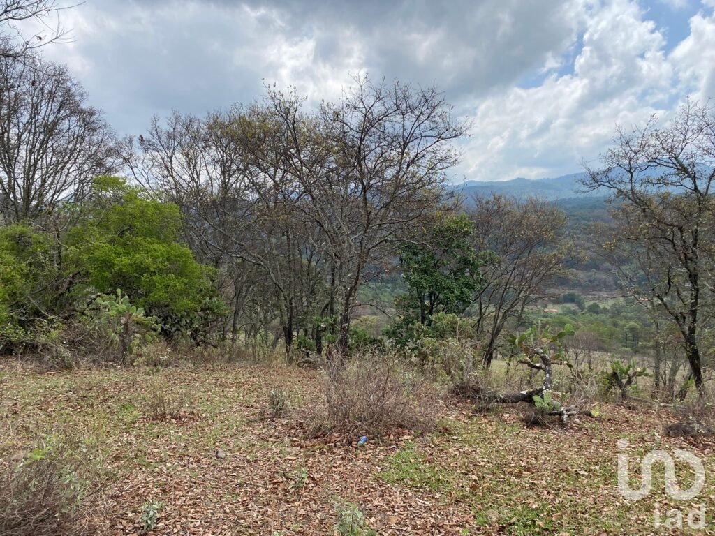 SE VENDE TERRENO PARA INVERSION EXELENTE PARA RESTAURANTE O CABAÑAS JESUS DEL MONTE MORELIA