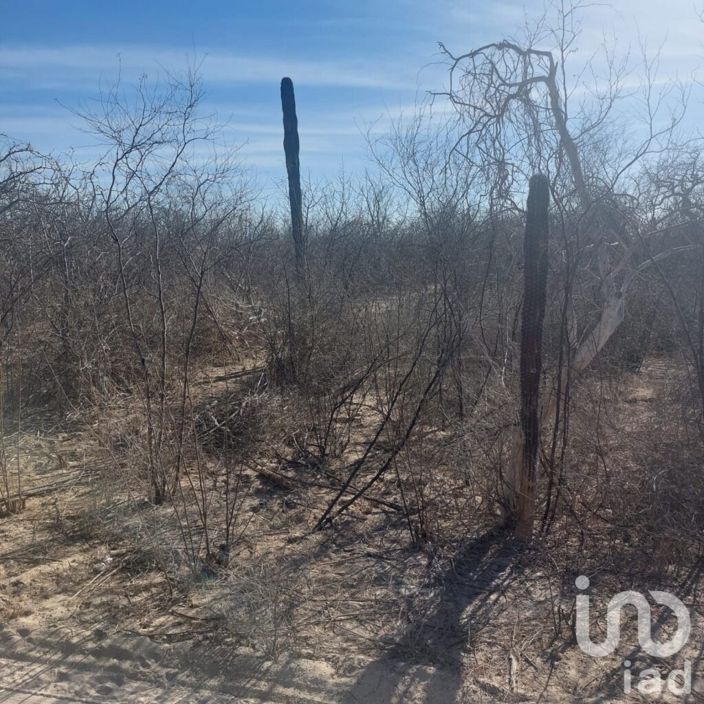 Terreno Campestre 1500 mt2 en San Pedro,