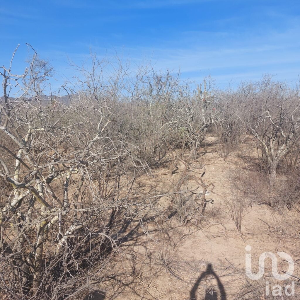 Terreno Campestre 1500 mt2 en San Pedro,