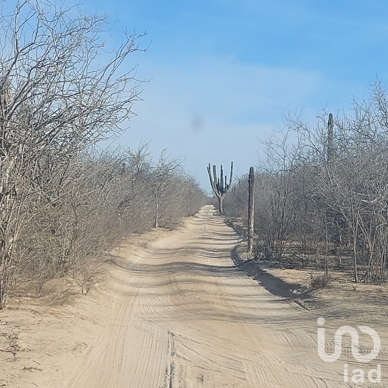 Terreno Campestre 1500 mt2 en San Pedro,