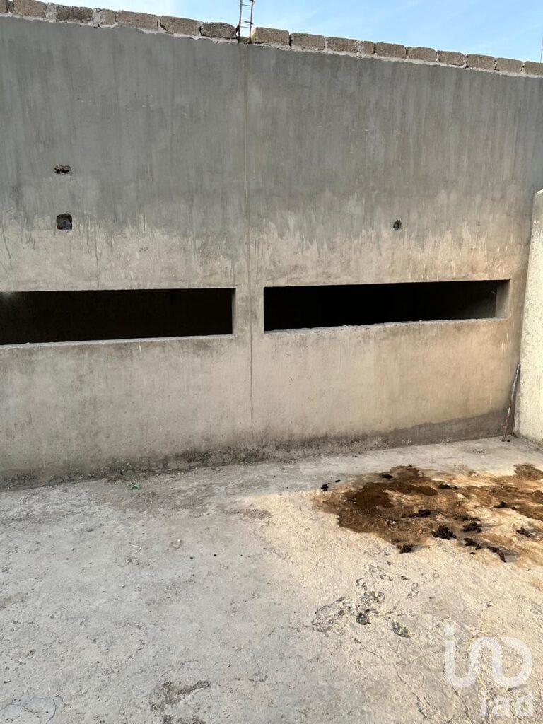 HORIZONTE CAJITITLAN