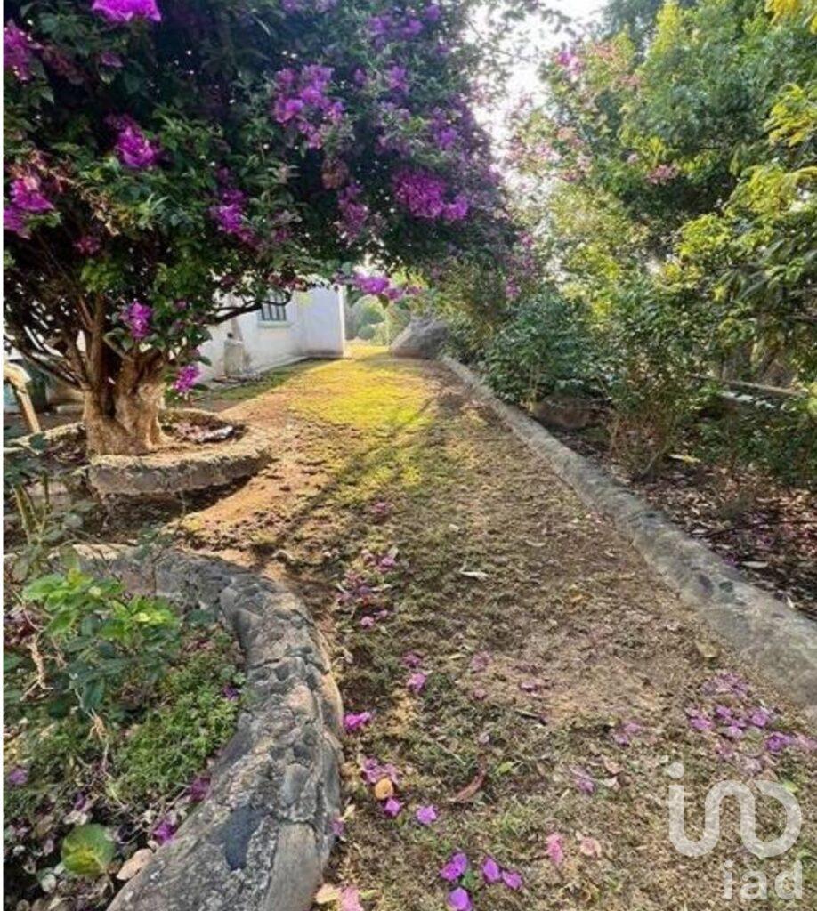 Venta de Terreno en Tepetlixpa Estado de México