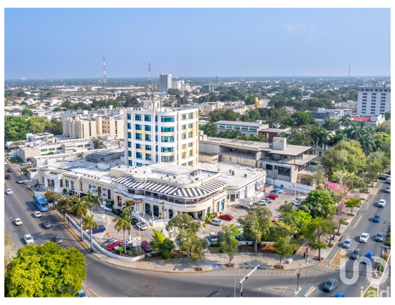 EDIFICIO PASEO MONTEJO