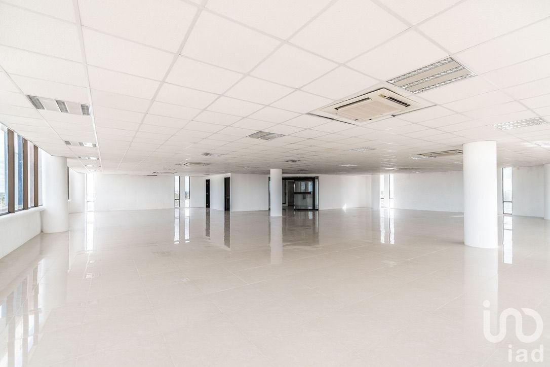 EDIFICIO PASEO MONTEJO EDIFICIO PASEO MONTEJO