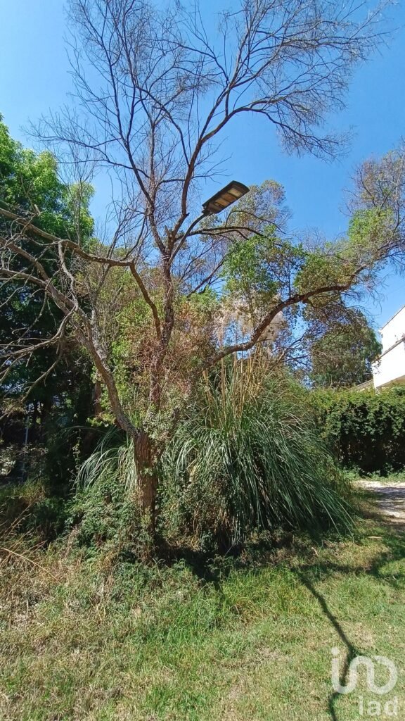 Terreno en Venta, Los Alcanfores, San Cristóbal de las Casas, Chiapas
