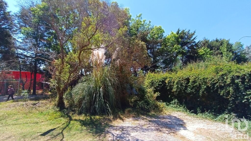 Terreno en Venta, Los Alcanfores, San Cristóbal de las Casas, Chiapas
