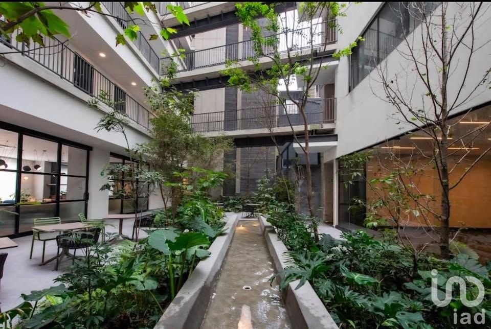 Loft en Renta Col. Roma Norte