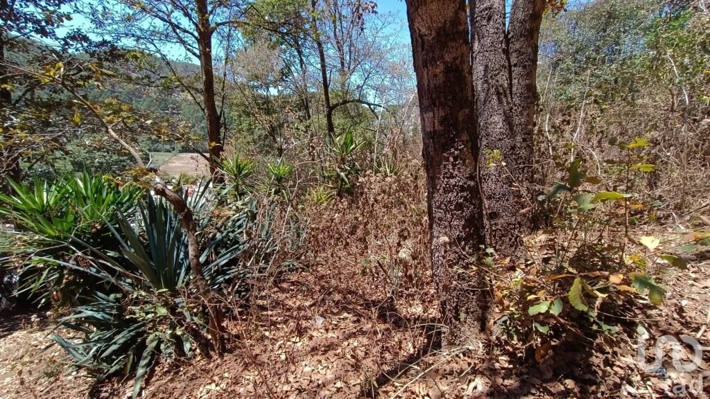 Terreno en venta, Barrio de la Garita, San Cristóbal de las Casas
