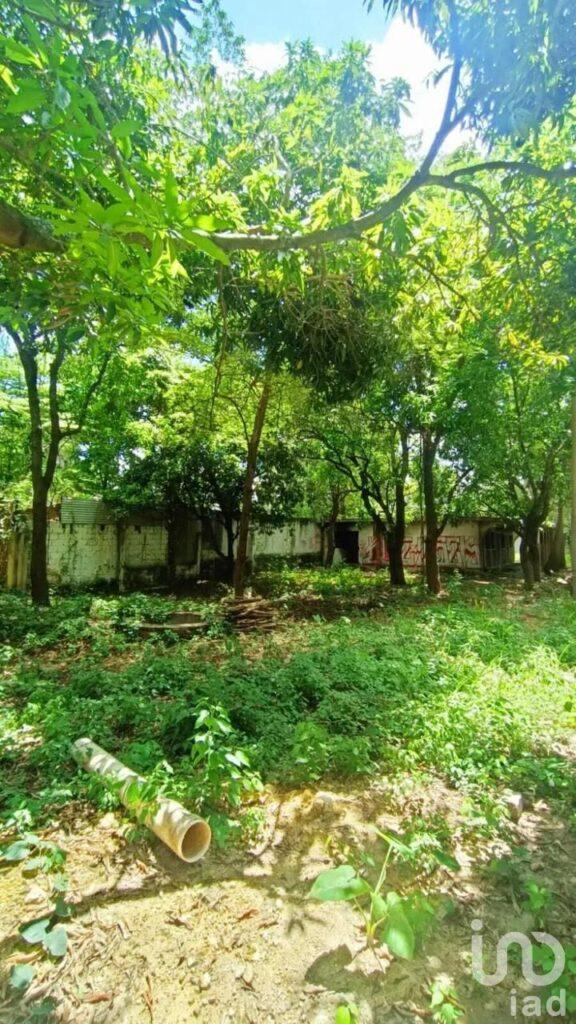 TERRENO EN VENTA EN PLAN DE AYALA