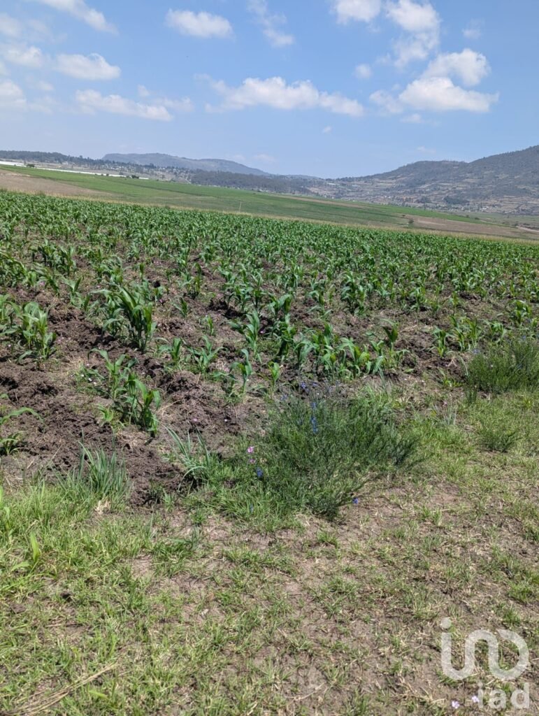 Variedad de terrenos Agrícola en Amealco de Bonfil, Pueblo Mágico
