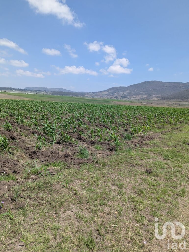 Variedad de terrenos Agrícola en Amealco de Bonfil, Pueblo Mágico