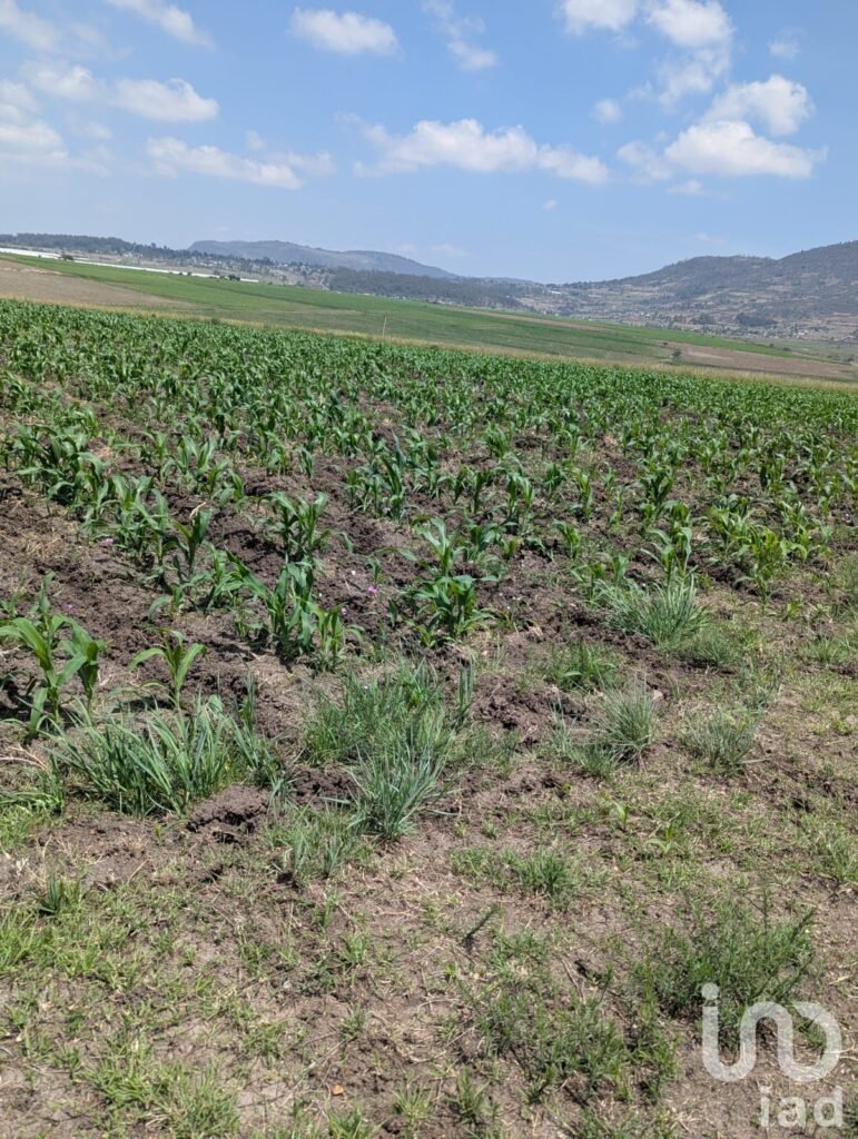 Variedad de terrenos Agrícola en Amealco de Bonfil, Pueblo Mágico