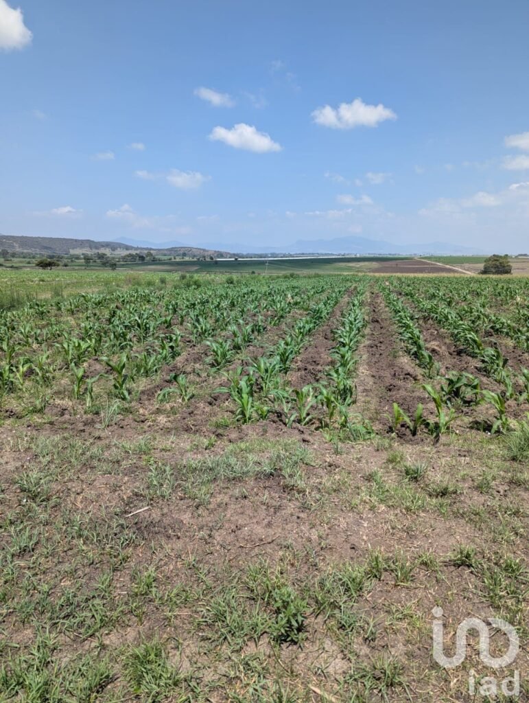 Variedad de terrenos Agrícola en Amealco de Bonfil, Pueblo Mágico