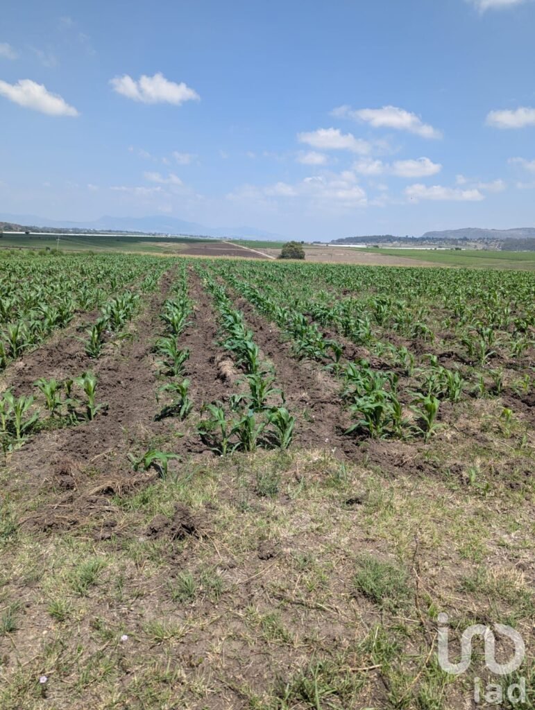 Variedad de terrenos Agrícola en Amealco de Bonfil, Pueblo Mágico