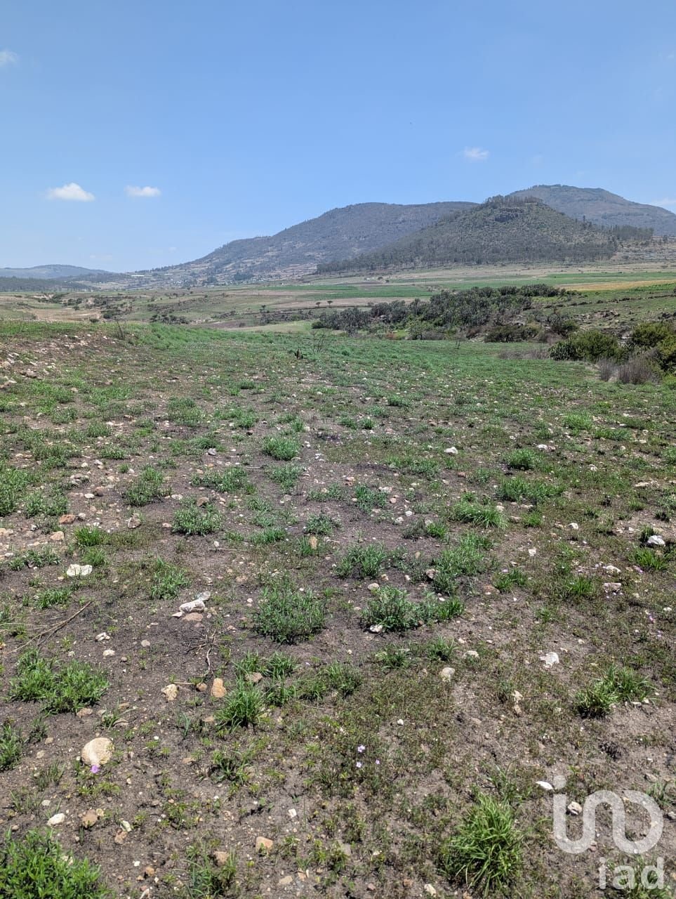 Variedad de terrenos Agrícola en Amealco de Bonfil, Pueblo Mágico Variedad de terrenos Agrícola en Amealco de Bonfil, Pueblo Mágico