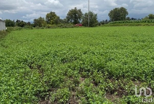 Terreno  en  VENTA. Bocaja, Municipio de Actopan.Hgo.