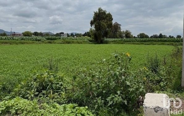 Terreno  en  VENTA. Bocaja, Municipio de Actopan.Hgo.