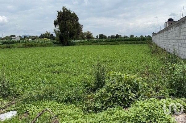 Terreno  en  VENTA. Bocaja, Municipio de Actopan.Hgo.