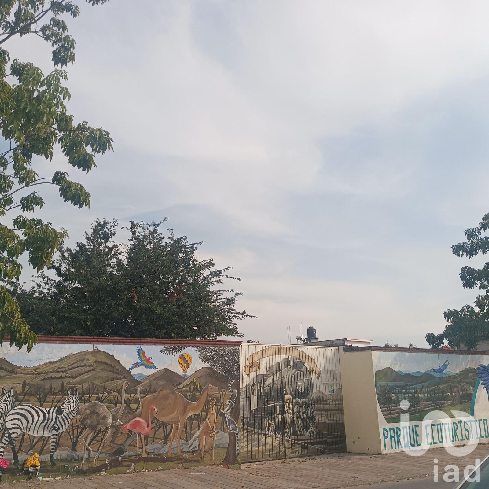 CASA EN VENTA EN ANENECUILCO AYALA, MORELOS