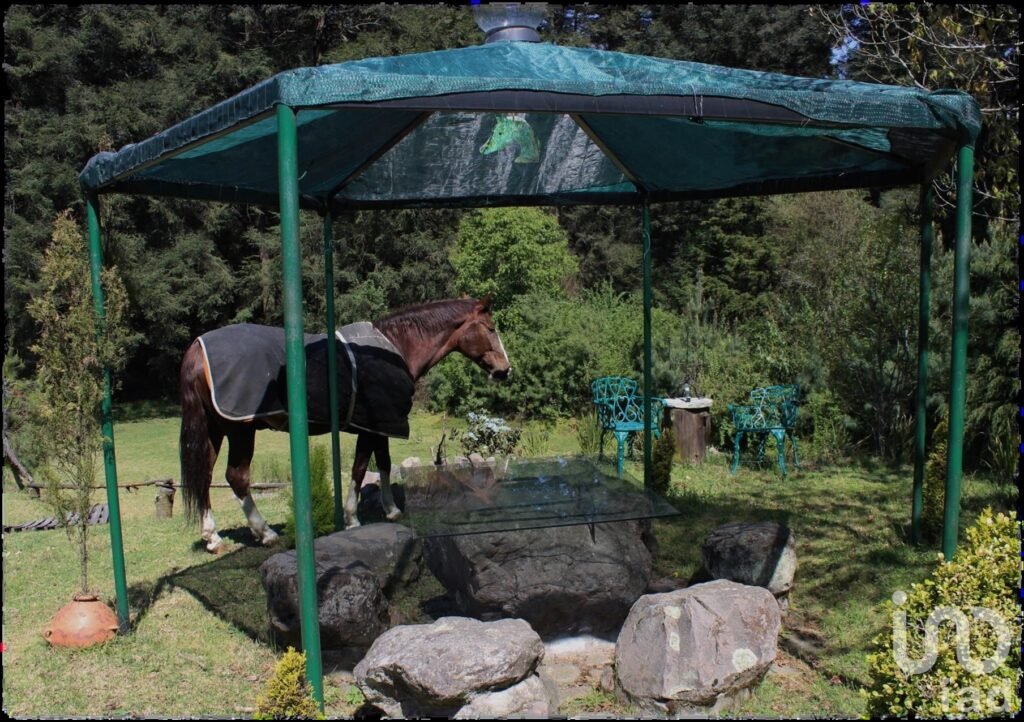 Chalet Estilo Campiña Francesa en Venta – Picacho Ajusco, CDMX