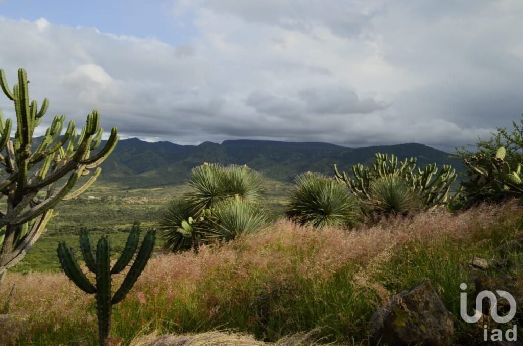 RANCHO ECOLASTICAS, PEDRO ESCOBEDO