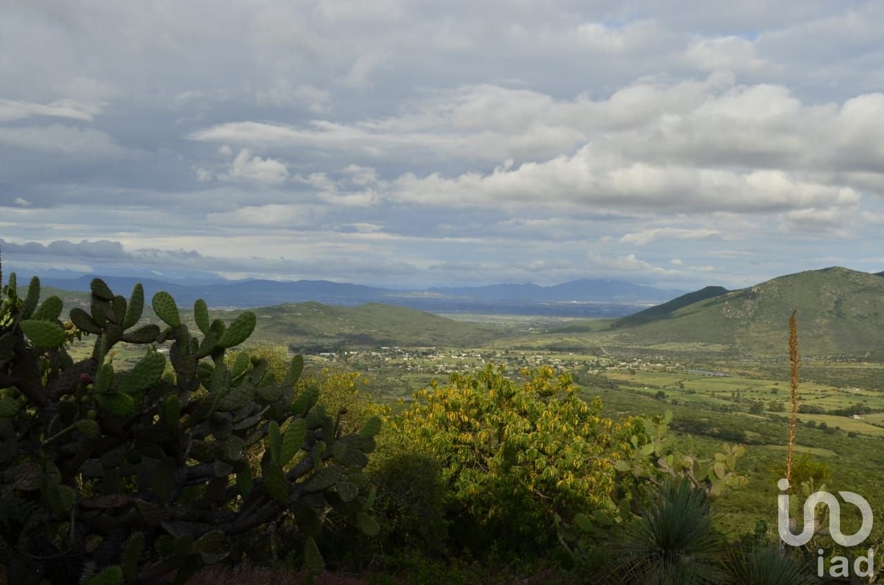 RANCHO ECOLASTICAS, PEDRO ESCOBEDO RANCHO ECOLASTICAS, PEDRO ESCOBEDO