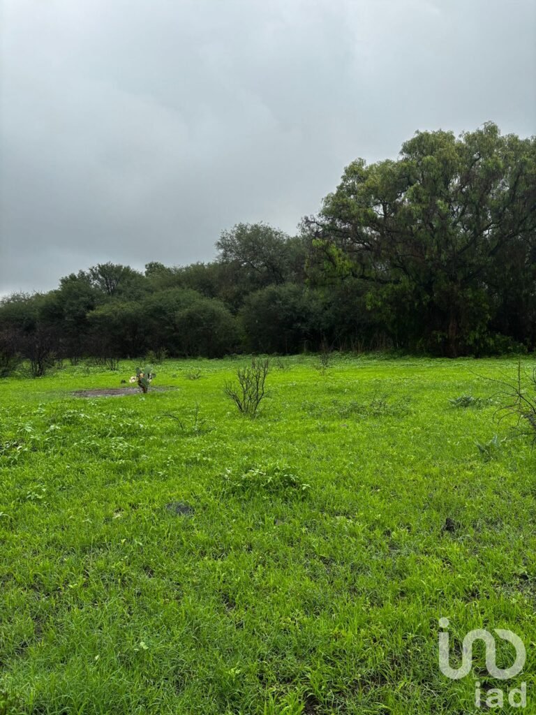 TERRENO QUERETARO EL MARQUES, AMAZCALA  LTE 13