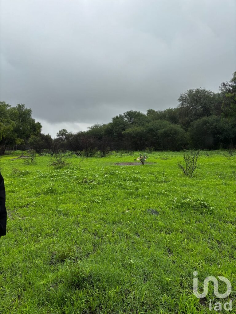 TERRENO QUERETARO EL MARQUES, AMAZCALA  LTE 13