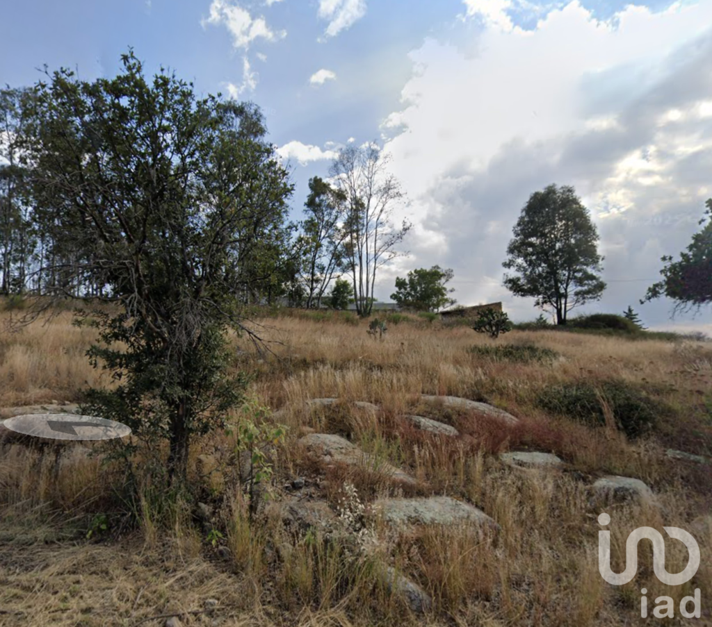 Terreno con cabañas, para proyecto ecoturistico, huimilpan, Queretaro.