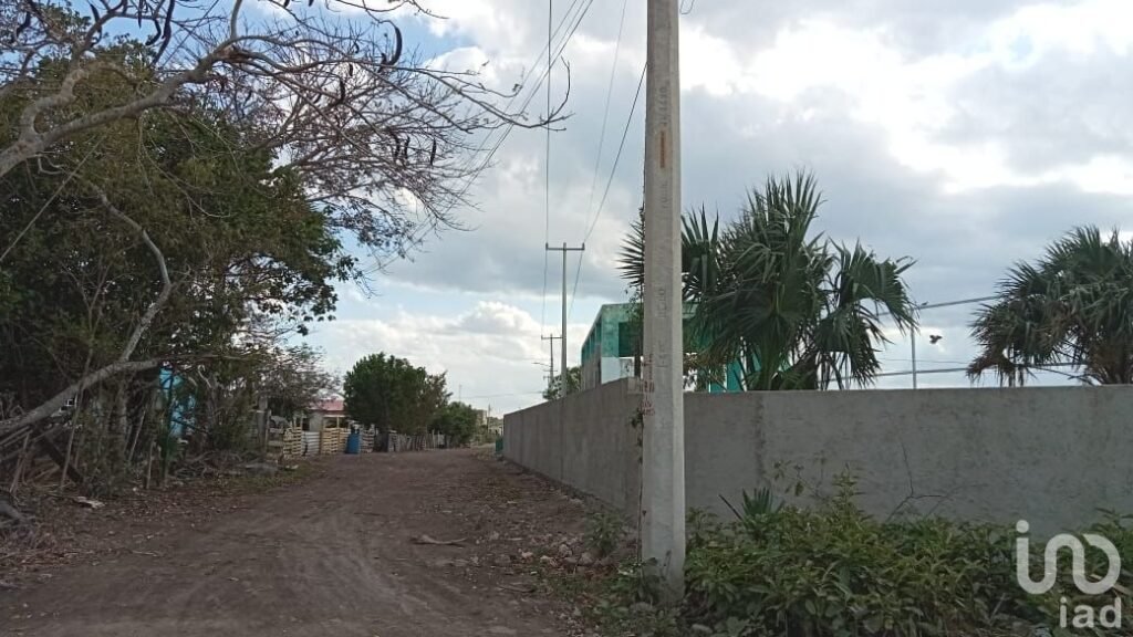 VENTA DE TERRENO EN RIO LAGARTOS YUCATAN