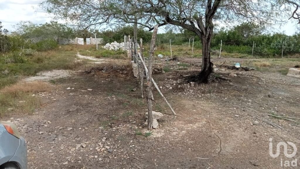 VENTA DE TERRENO EN RIO LAGARTOS YUCATAN