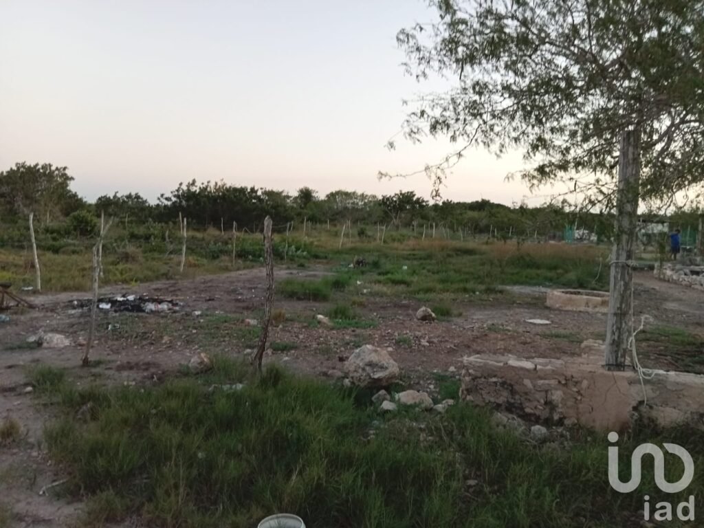 VENTA DE TERRENO EN RIO LAGARTOS YUCATAN