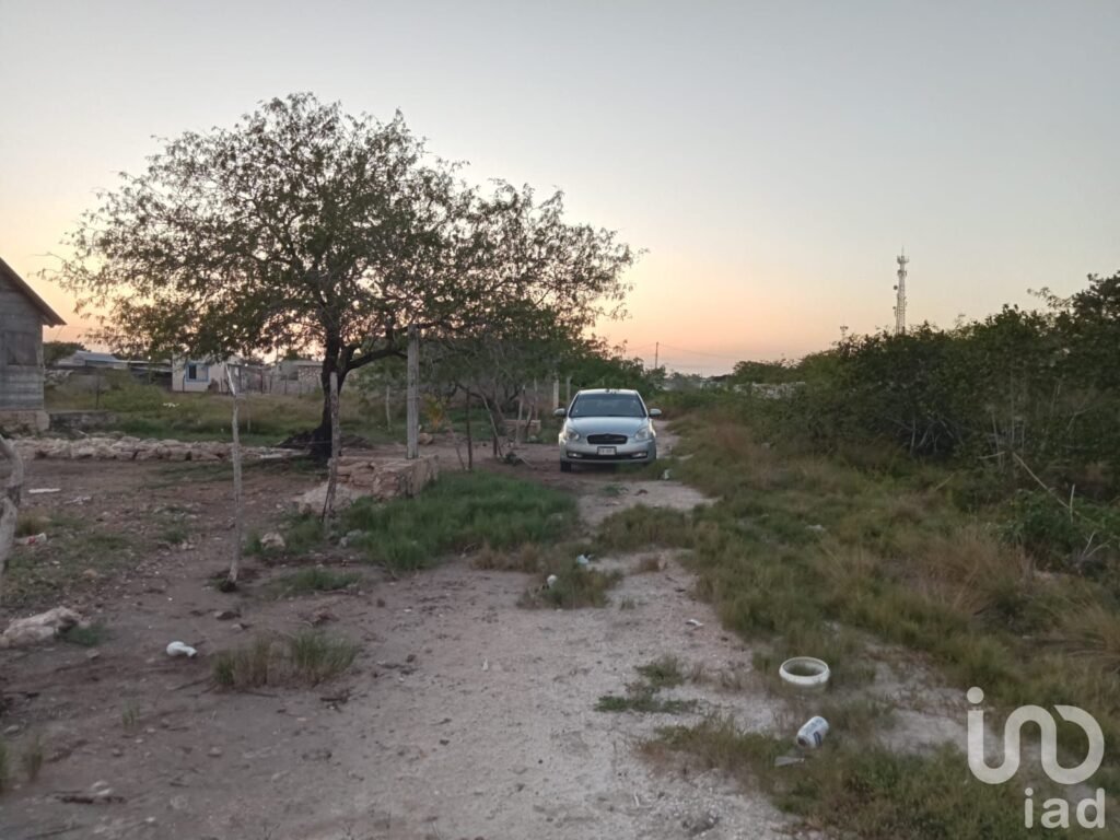 VENTA DE TERRENO EN RIO LAGARTOS YUCATAN