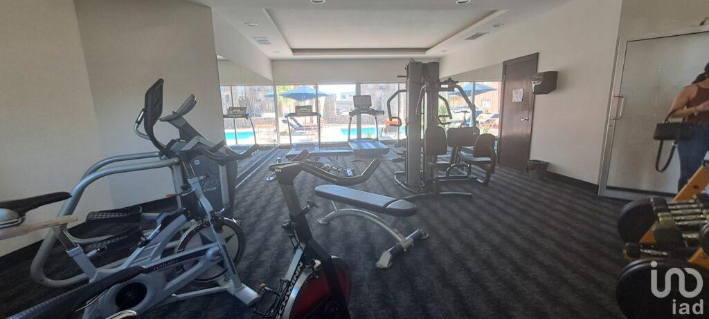 Renta de departamentos, en la zona dorada, Cd Juarez, Chihuahua.