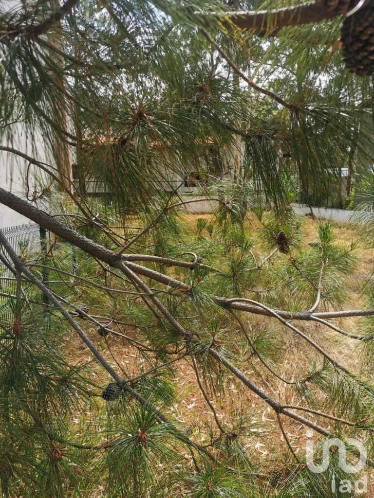 SE VENDE TERRENO EN EL CAMPO DE GOLF ALTOZANO MORELIA