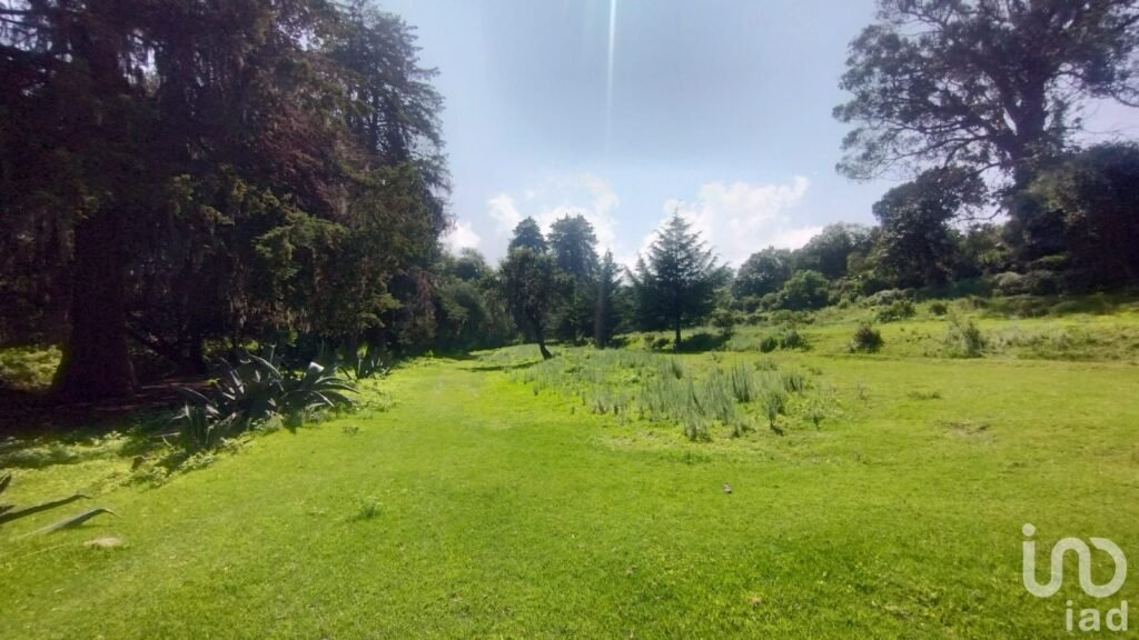 TERRENO BOSCOSO EN VENTA EN BERMUDEZ, PUEBLO MAGICO DE HUASCA DE OCAMPO,HGO.