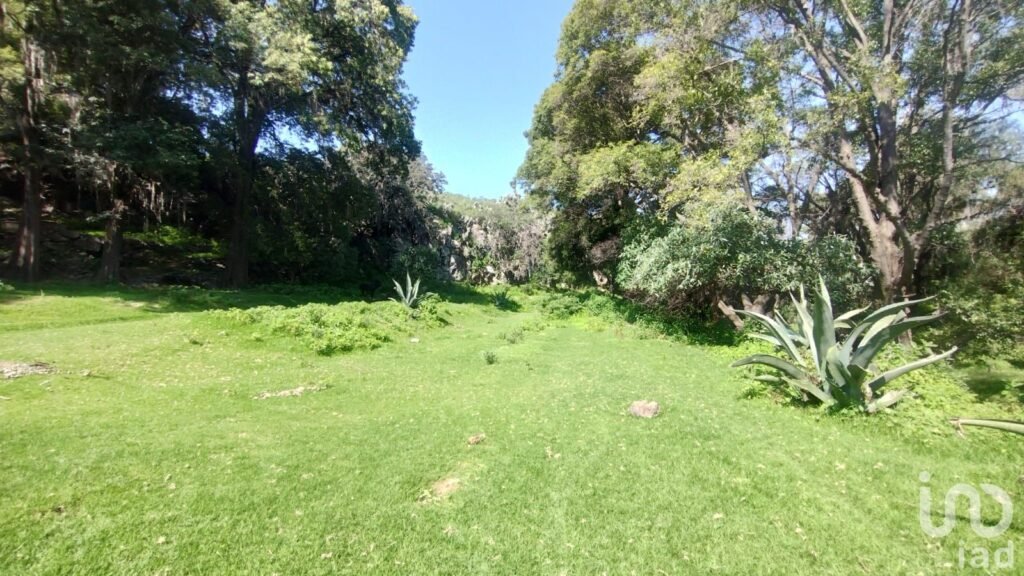 TERRENO BOSCOSO EN VENTA EN BERMUDEZ, PUEBLO MAGICO DE HUASCA DE OCAMPO,HGO.