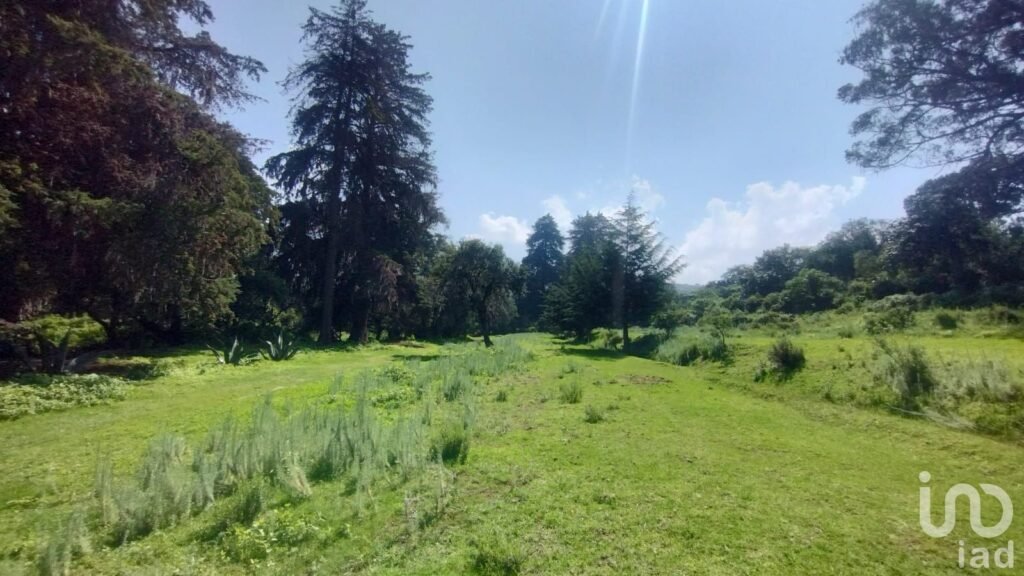 TERRENO BOSCOSO EN VENTA EN BERMUDEZ, PUEBLO MAGICO DE HUASCA DE OCAMPO,HGO.