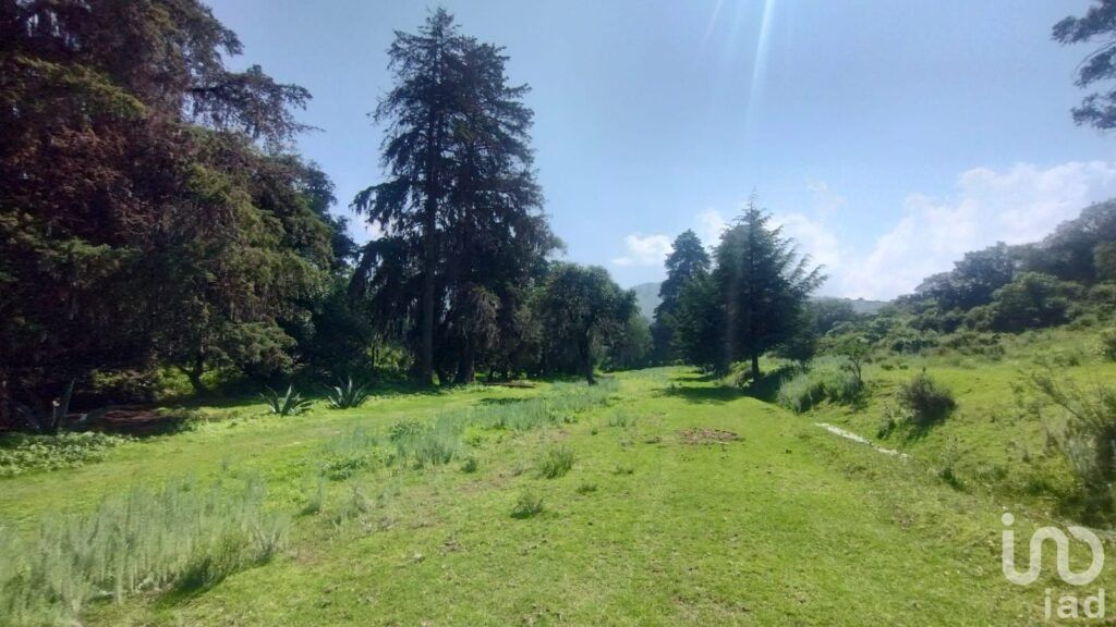 TERRENO BOSCOSO EN VENTA EN BERMUDEZ, PUEBLO MAGICO DE HUASCA DE OCAMPO,HGO.