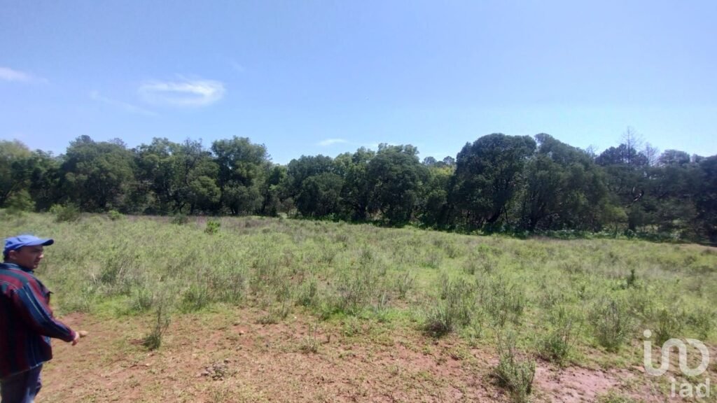 TERRENO BOSCOSO EN VENTA EN BERMUDEZ, PUEBLO MAGICO DE HUASCA DE OCAMPO,HGO.