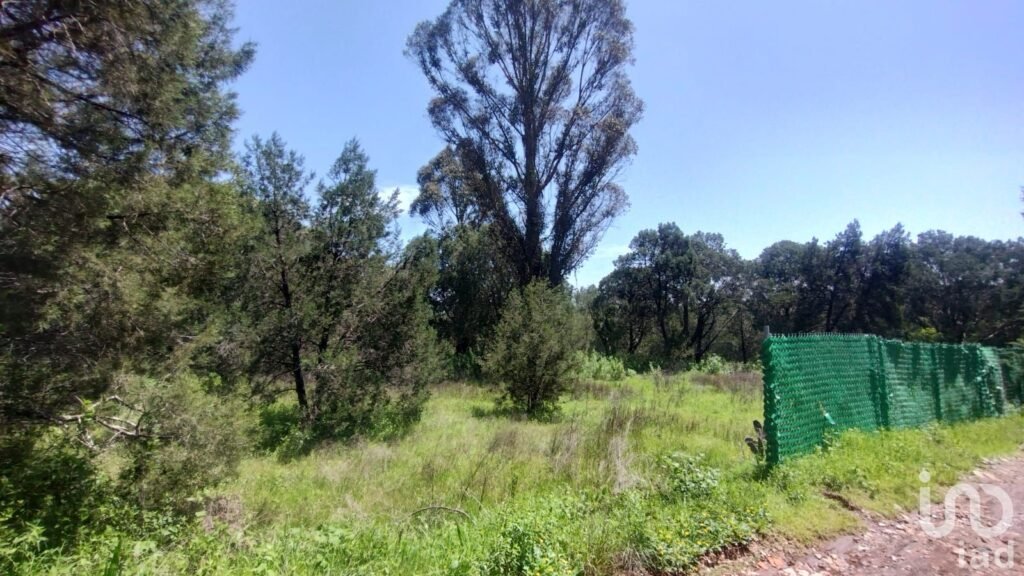 TERRENO BOSCOSO EN VENTA EN BERMUDEZ, PUEBLO MAGICO DE HUASCA DE OCAMPO,HGO.