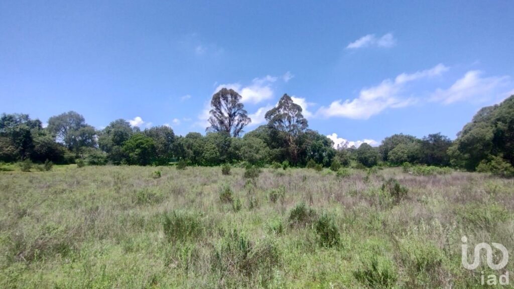 TERRENO BOSCOSO EN VENTA EN BERMUDEZ, PUEBLO MAGICO DE HUASCA DE OCAMPO,HGO.