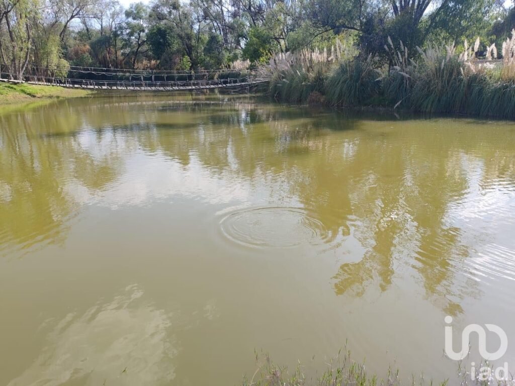 Terreno residencial el Encino en venta