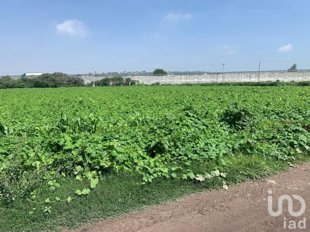 Venta Terreno - Tultepec